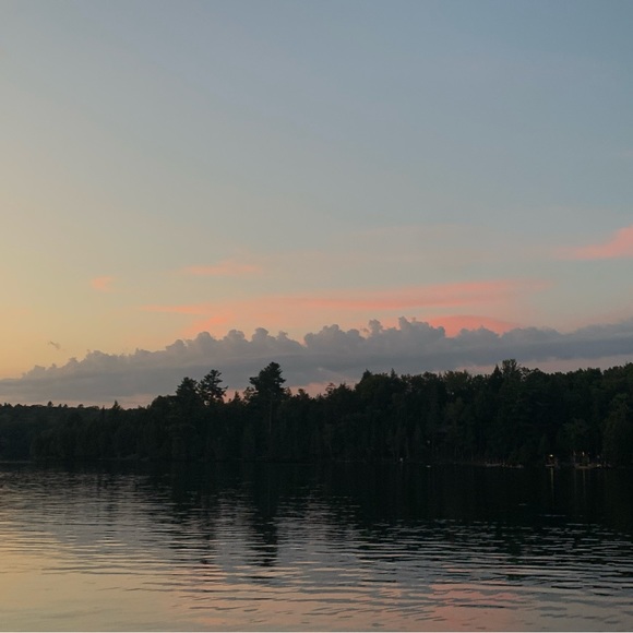 Meet your Posher, Isabella - Picture 1 of 1